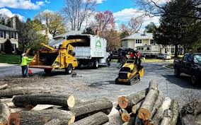 Best Lawn Drainage Solutions  in Rock Springs, NM