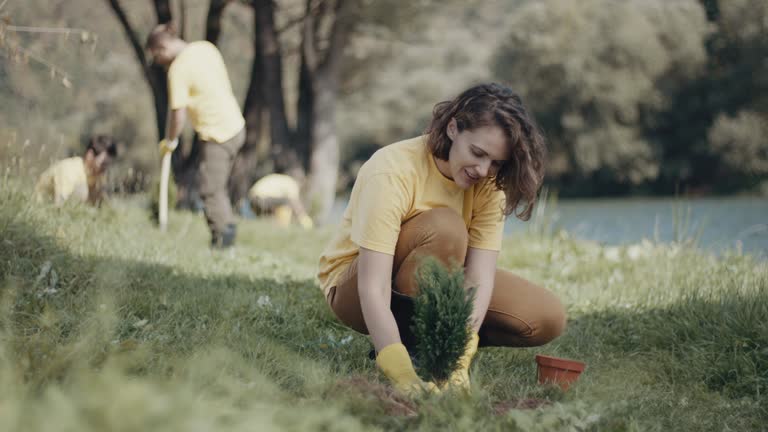 Best Tree Preservation Services  in Rock Springs, NM