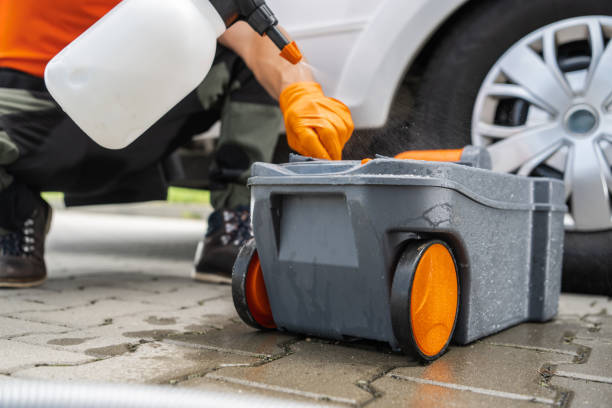 Best Leaf Removal  in Rock Springs, NM
